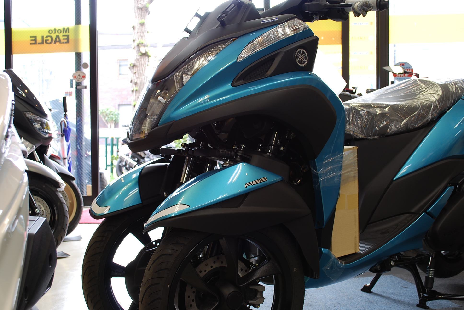 トリシティ　2018 010